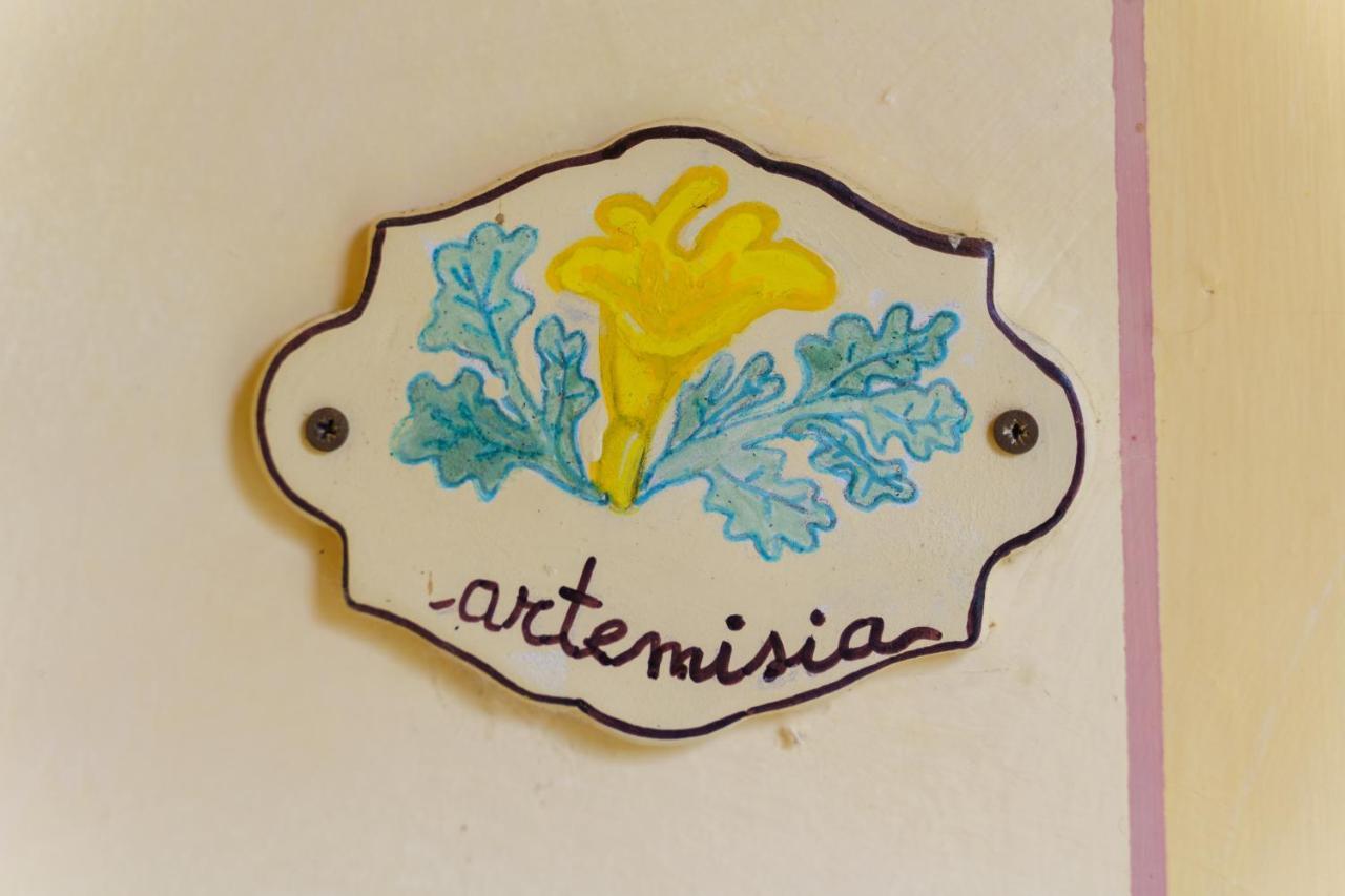 Agriturismo Ca'Mazzetto Valfabbrica Dış mekan fotoğraf